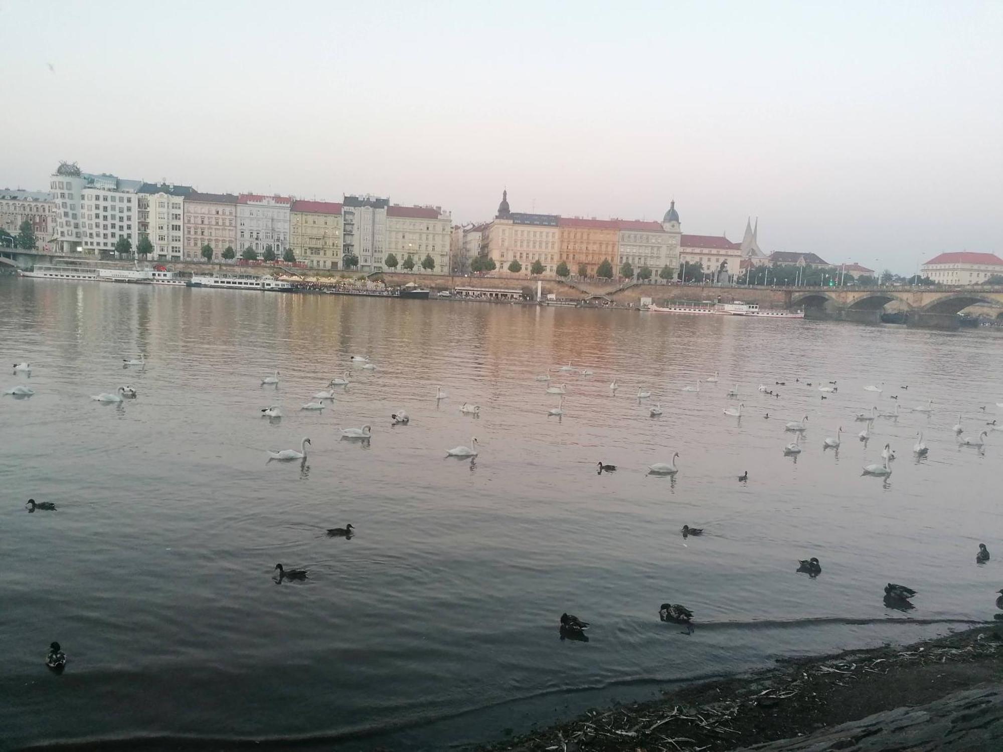 Valentinka Minutes Away From Charles Bridge Apartamento Praga Exterior foto