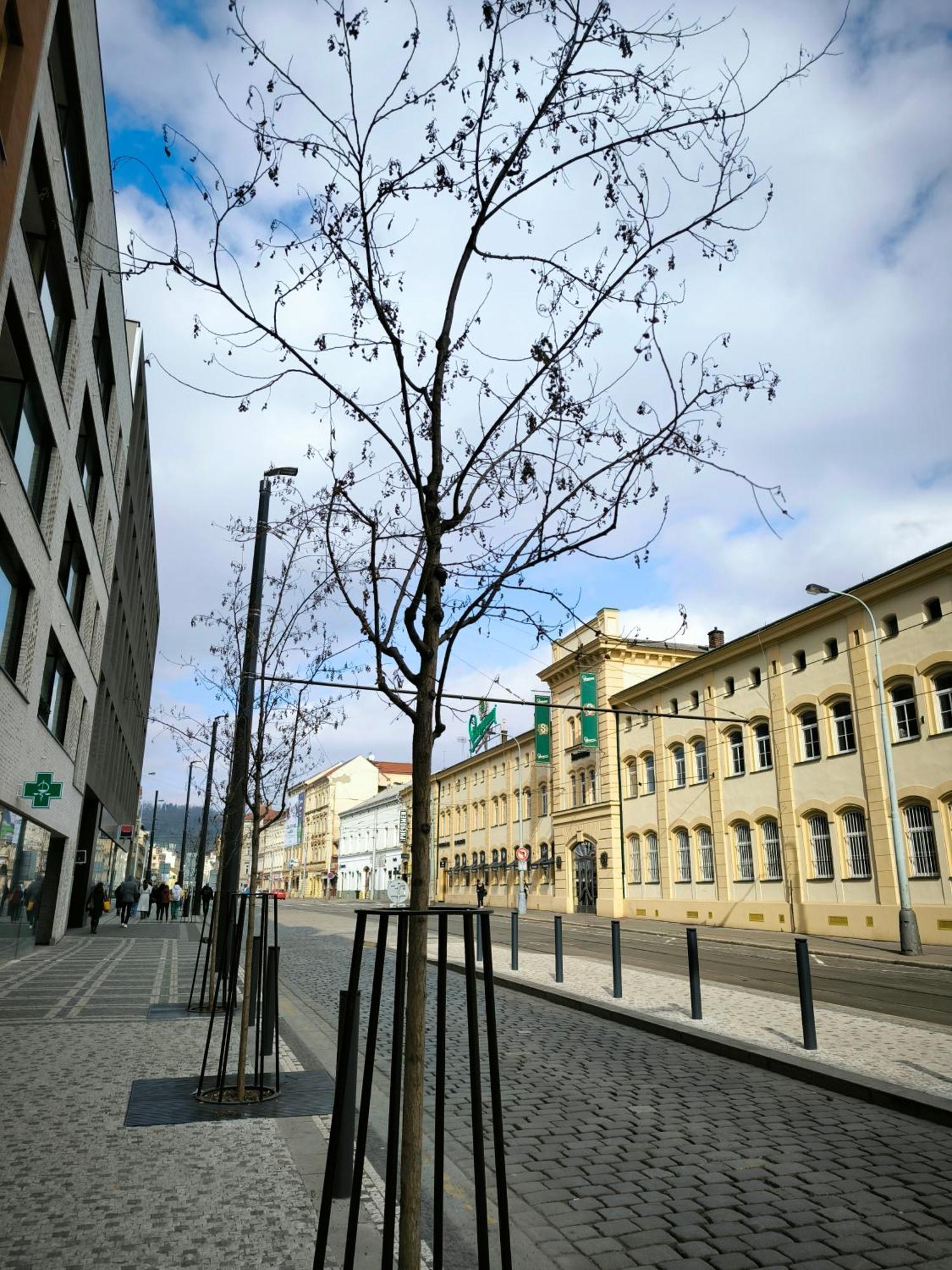 Valentinka Minutes Away From Charles Bridge Apartamento Praga Exterior foto
